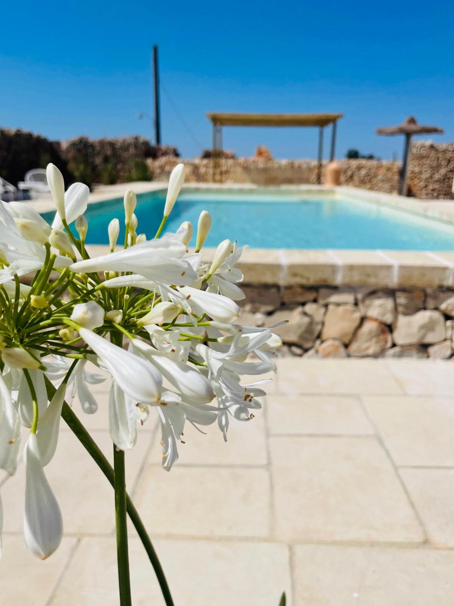 Masseria Voluzzi Копертино Экстерьер фото