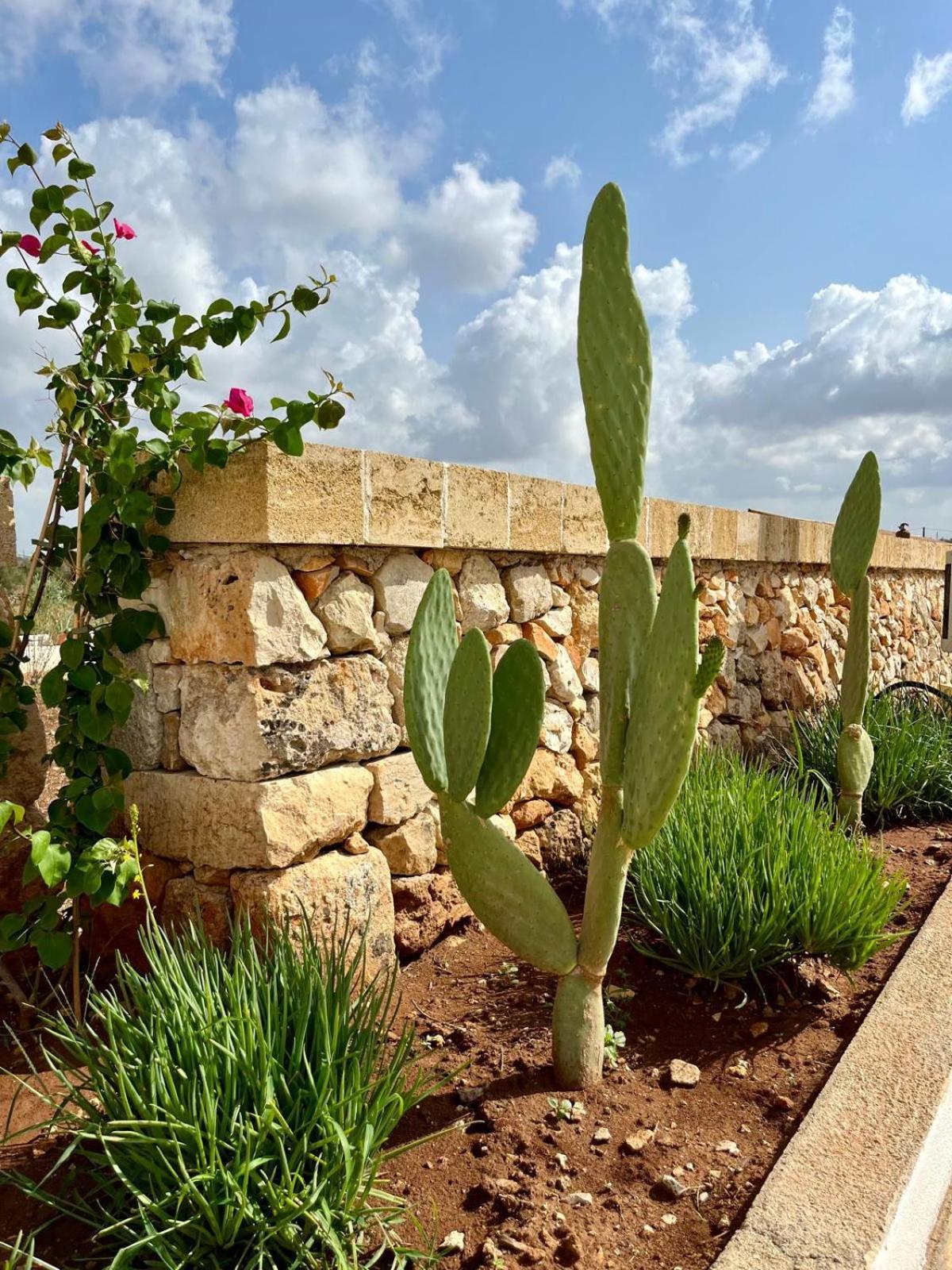 Masseria Voluzzi Копертино Экстерьер фото