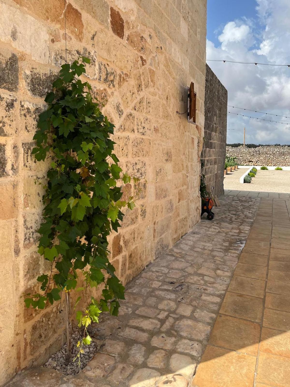 Masseria Voluzzi Копертино Экстерьер фото
